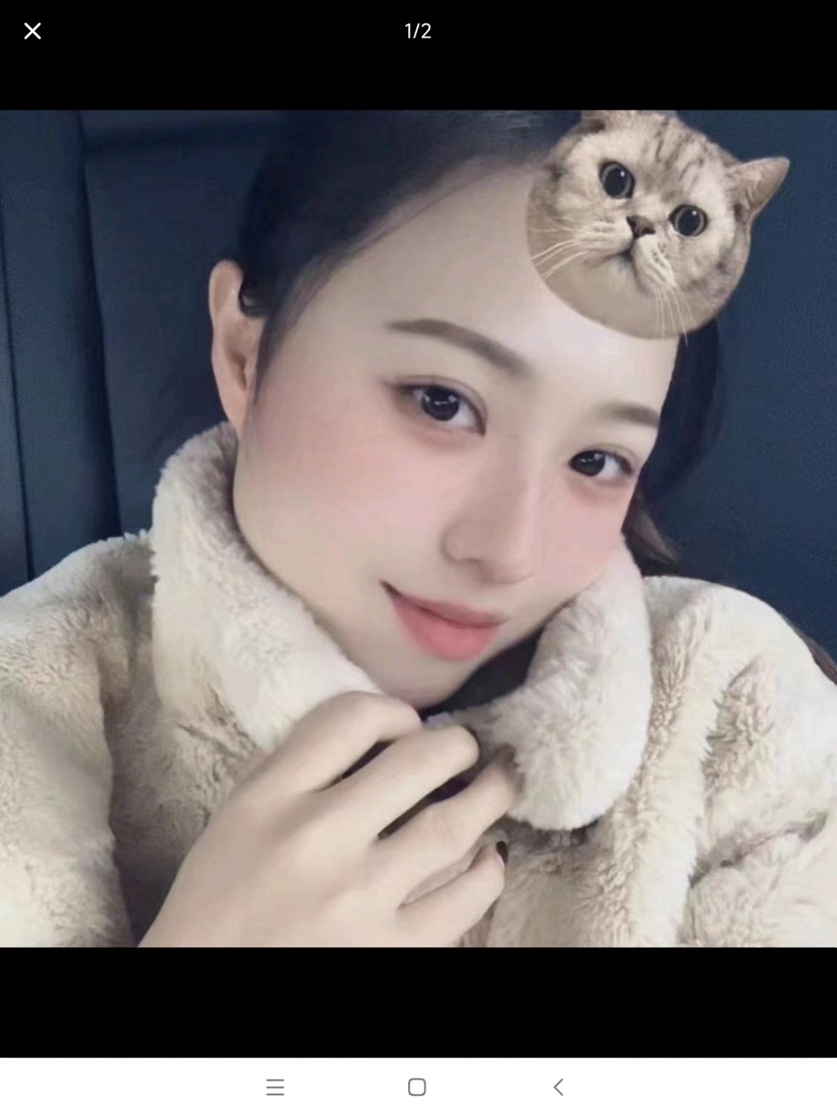  当猪猪女侠